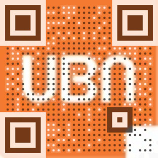 Visual QR Code Picture QR Code Visual QR Code