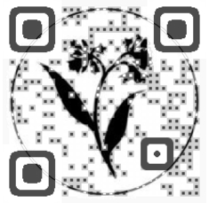 Aveda QR Code qrcode design Aveda QR Code