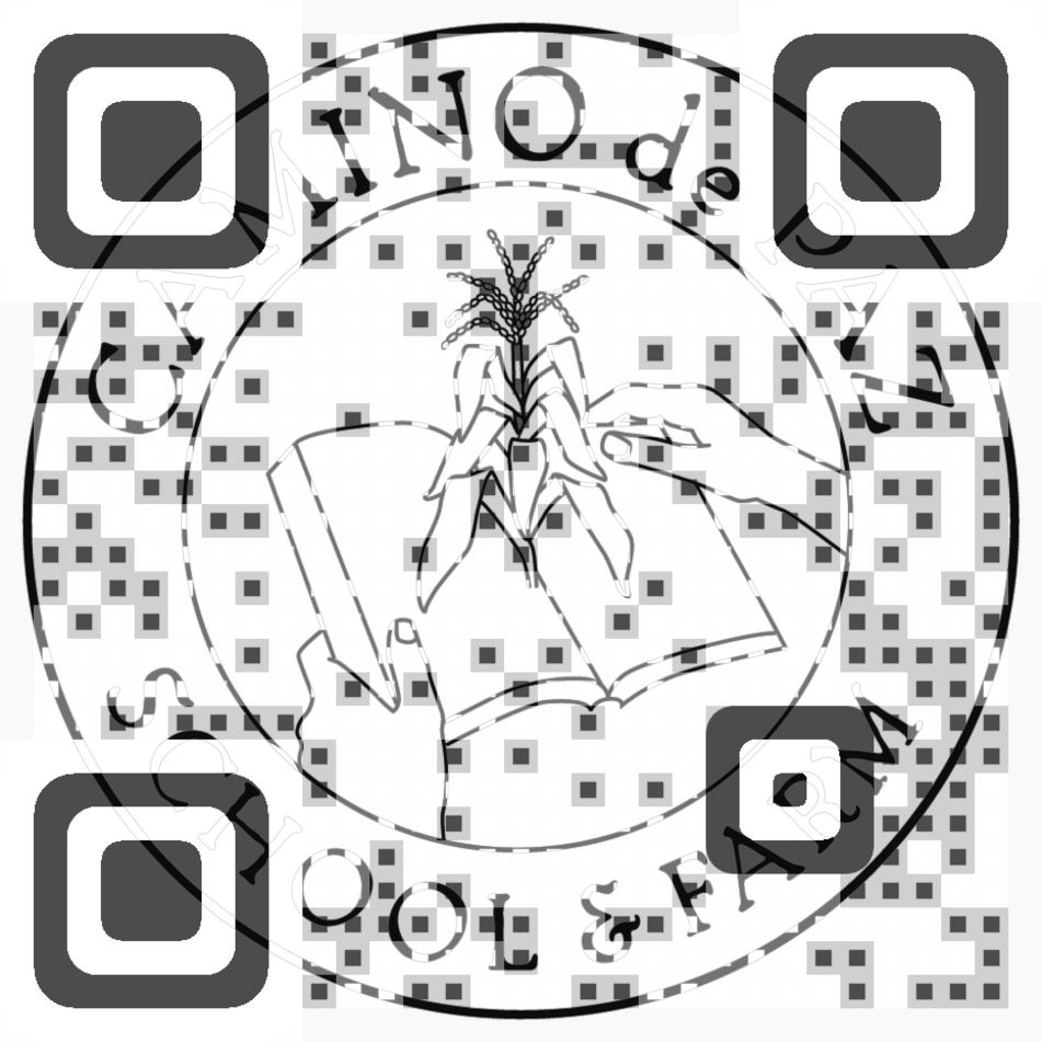 Visual QR Code make qr code Visual QR Code