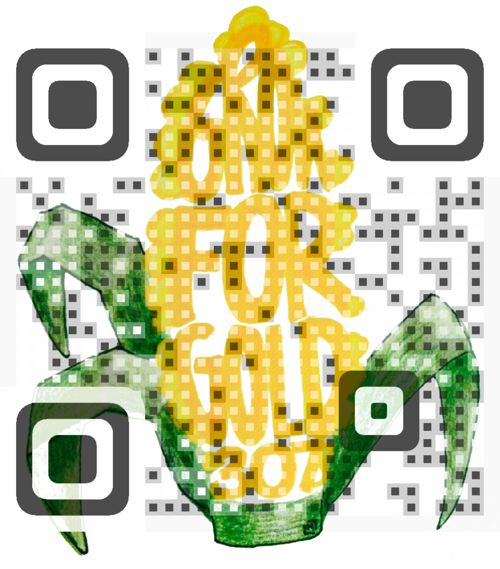 Visual QR Code Color QR Code Visual QR Code