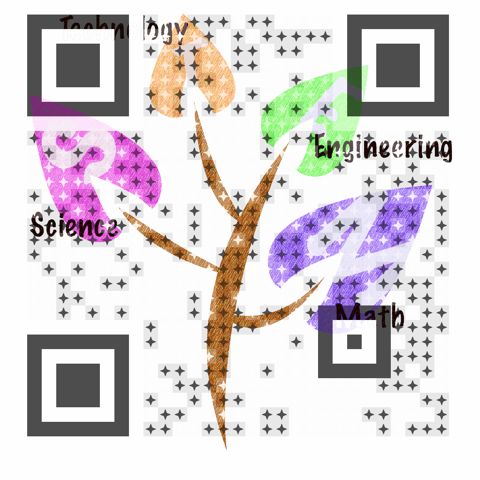 Visual QR Code Picture QR Code Visual QR Code