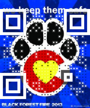 Visual QR Code Color QR Code Visual QR Code
